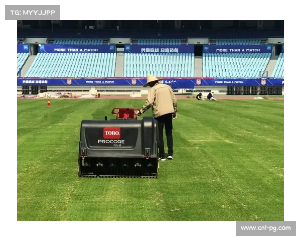 国际泳联观察员出席，称赞赛事组织达到国际水准